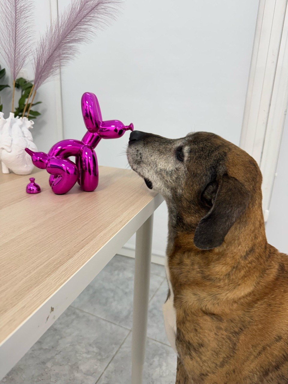 Detalle del centro Vangue